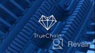img 2 attached to True Chain review by Kenan Nuhbabali