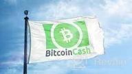 img 1 attached to Bitcoin Cash review by Celebe Kayabegli