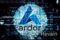 img 3 attached to Ardor review by Gulnar Hajyyewa