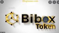 img 3 adjunta a la reseña de Bibox Token de DUNYA OWEZKULYYEWA
