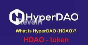 img 2 attached to HyperDAO review by Gulnar Hajyyewa