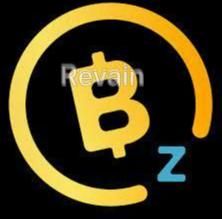 img 2 attached to BitcoinZ review by Gulnar Hajyyewa