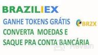 картинка 2 прикреплена к отзыву Braziliex Token от Berdi Meredow