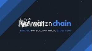 img 1 attached to Waltonchain review by Gulnar Hajyyewa