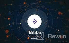 img 3 attached to Bitibu review by owez meredow