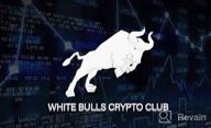 img 2 attached to CryptoBulls review by Mekan Annamuhammedov
