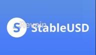img 3 attached to StableUSD review by Huseyn Akberov