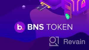img 3 attached to BNS Token review by Cary Owezow