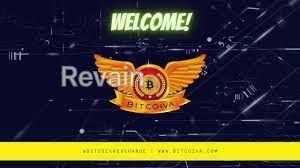 img 3 attached to Bitcoiva review by Alex Belov