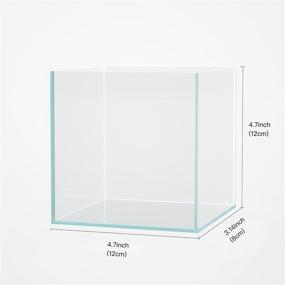 img 3 attached to 0 3Gal Rimless Small Aquarium 5Gallon