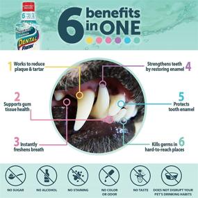 img 2 attached to 🦷 Dental Fresh Water Additive - Original Formula for Dogs - Clinically Proven, Enhance Oral Health, Whiten Teeth & Eliminate Bad Breath - Simply Add to Pet's Water Bowl (1/2 Gallon)