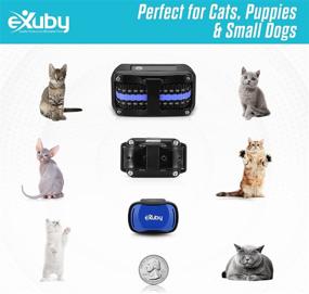 img 1 attached to 🐾 eXuby Vibrating Cat Collar - NO Shock - Remote Cat Training Collar - Vibration & Sound Only - Fits Kittens to Adult Cats - 1,000 FT Range - Long Battery Life – 9 Intensity Levels