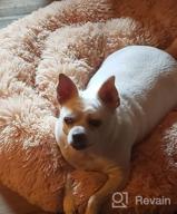 img 1 attached to Ultimate Comfort With PUPPBUDD'S Self-Warming Faux Fur Dog Bed - Perfect For Small Dogs Up To 35Lbs review by Joshua Flame