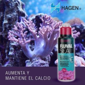 img 2 attached to Fluval Hagen Sea Calcium Aquarium Supplement