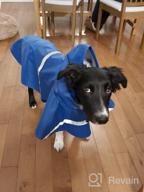 картинка 1 прикреплена к отзыву 🐶 Защитная одежда для домашних животных: Дождевик для собак NINEMAX с отражающей полосой для средних и крупных собак. от Mark Caperton