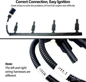 img 2 attached to 🔌 High-Quality Glow Plug Wire Wiring Harness Set for Ford 6.0L Powerstroke Diesel Super Duty F250 F350 F450 F550 2003 - Perfect Replacement with Right & Left Pigtial Connector Harness - OEM 3C3Z-12A690-AA 3C3Z-12A690-BA 12A690