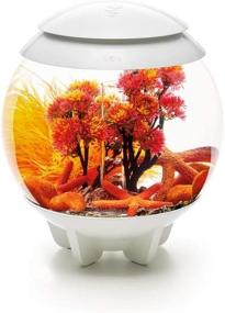 img 1 attached to BiOrb Decor Set 15L Autumn