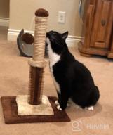 img 1 attached to Sturdy Double Base Plate Cat Scratching Post With Self Groomer And Toy - Ideal For Indoor Kittens And Cats - Jaoul 21 review by Wayne Burkett