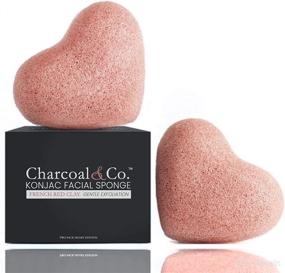 img 4 attached to Organic Exfoliating Charcoal Co Sponges