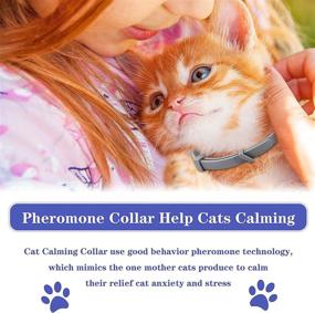 img 3 attached to NOOBECR Pheromone Comfortable Breakaway Adjustable Cats : Health Supplies