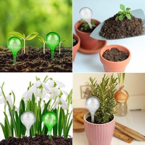img 1 attached to 12-Piece LOCOLO Watering Globe Set: Self-Watering System For Indoor Plants