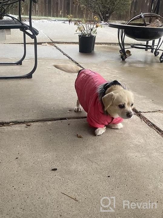 img 1 attached to Warm & Windproof Dog Coats For Small Dogs - LesyPet Grey S review by Priscilla Delgadillo