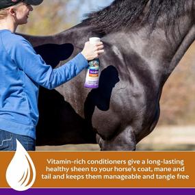 img 1 attached to Farnam Vetrolin Shine Coat Conditioner & Shine Spray For Horses & Dogs 32 Ounces