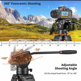 img 2 attached to Видеоштатив Cayer BF30L: 73-дюймовый сверхмощный штатив с подвижной головкой на 360 градусов и быстросъемной пластиной для цифровых зеркальных фотокамер, видеокамер и фотокамер (13,2 фунта рабочей нагрузки)”