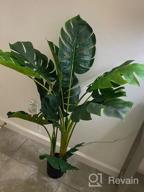 img 1 attached to Artificial Swiss Cheese Plant - 4Ft Tall Monstera Deliciosa With 15 Split Leaves - Faux Tropical Monstera Palm Tree For Home, Office, Store, Garden Floor Decor - Set Of 2 review by Andrew Vogel