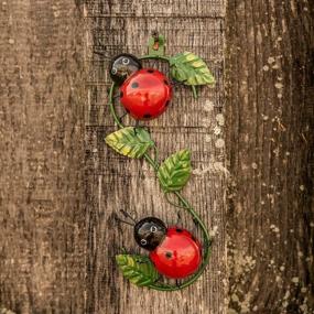 img 3 attached to Whimsical Metal Ladybug Wall Art: Perfect For Fence, Patio, And Backyard!
