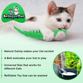 img 3 attached to Interactive Cat Toothbrush Toy With Catnip Refills - Durable Chew Toy For Kittens - Best Catnip Toy For Dental Health And Playtime