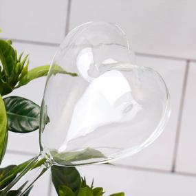 img 3 attached to Effortless Plant Care: KiKiHeim Self-Watering Glass Globes For Indoor And Outdoor Plants - Set Of 2 Hearts