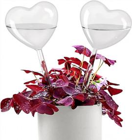 img 4 attached to Effortless Plant Care: KiKiHeim Self-Watering Glass Globes For Indoor And Outdoor Plants - Set Of 2 Hearts
