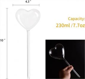 img 2 attached to Effortless Plant Care: KiKiHeim Self-Watering Glass Globes For Indoor And Outdoor Plants - Set Of 2 Hearts