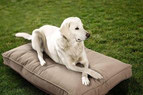 img 4 attached to 🐶 Sunbrella Double Sided Dog Bed for Indoor/Outdoor Use with Removable and Machine-Washable Cover