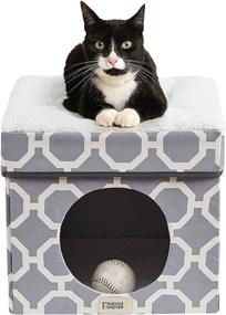 img 4 attached to 🐾 Taylor Pet House: Friends Forever Dog and Cat Bed Ottoman, Living Room Furniture - Compact Collapsible Cube, Fully Upholstered - Ideal for Small Dogs - 16.5in x 16.5in x 14in - Grey/Ivory