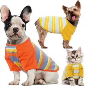 img 4 attached to Stripe Pet Shirts 2-Pack - Adorable And Breathable Outfit T-Shirts For Male And Female Cats And Dogs Of All Sizes - Perfect For Birthday Parties, Photos, Halloween, And Thanksgiving
