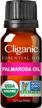 cliganic usda organic palmarosa essential oil, 100% pure natural undiluted (10ml), for aromatherapy non-gmo verified logo