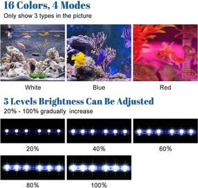 img 2 attached to 🐠 Acksky 9-24 Beads LED Aquarium Light, Color Changing Fish Tank Light with Remote Control - 16.5" 24 Led, 16 Colors & 4 Modes, Waterproof Submersible LED Lights for Fish Tank