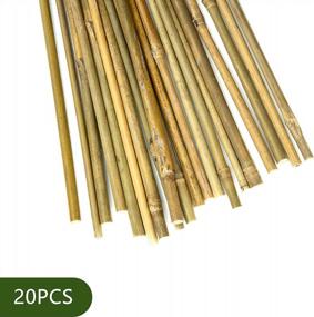 img 3 attached to 20Pcs 12In Plant Stakes: Garden Support For Indoor Plants, Tomato Stakes - Pllieay