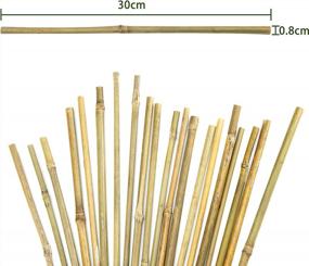 img 2 attached to 20Pcs 12In Plant Stakes: Garden Support For Indoor Plants, Tomato Stakes - Pllieay