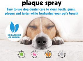 img 2 attached to 🐶 Petkin Plaque Spray, Cool Mint, 4 Fl Oz – Dental Care for Dogs & Cats, Removes Plaque & Tartar, Freshens Breath & Whitens Teeth with Baking Soda - No Brushing or Rinsing Required