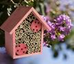 fsc certified wood mason bee house for solitary bees - attract pollinators to your garden with bamboo tube hotel. logo