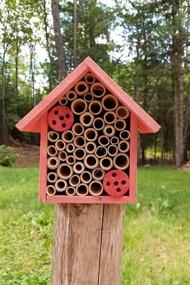 img 3 attached to FSC Certified Wood Mason Bee House For Solitary Bees - Attract Pollinators To Your Garden With Bamboo Tube Hotel.