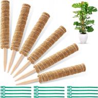 set of 6 moss poles, 16-inch plant support sticks for climbing plants - coir poles with 12 adjustable plant ties logo