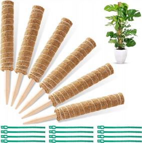 img 4 attached to Set Of 6 Moss Poles, 16-Inch Plant Support Sticks For Climbing Plants - Coir Poles With 12 Adjustable Plant Ties