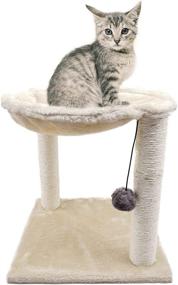 img 4 attached to Compact Cat Scratching Post with Hammock: Indoor Climbing Frame for Small Cats, Tree-Tower Combo