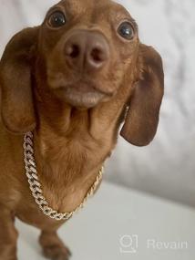 img 8 attached to Cuban Link Dog Collar - Elegant Silver Metal Chain Collar For Dogs And Cats With Diamond Accents - Available In Multiple Sizes