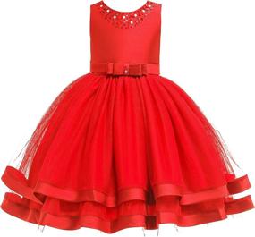 img 4 attached to Glamulice Ruffles Vintage Embroidered Bridesmaid Dresses for Girls' Clothing