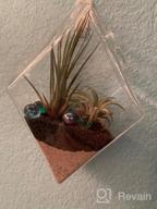 img 1 attached to 4 Pack Diamond-Shaped Wall Planter: Hanging Plant Terrarium, Hydroponic Succulent Air Plant Holder For Home Decor review by Fernando Marshall